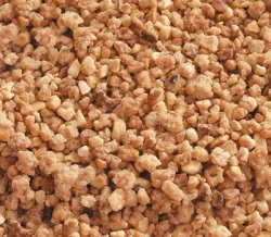 Caramelised Nibbed Hazelnuts